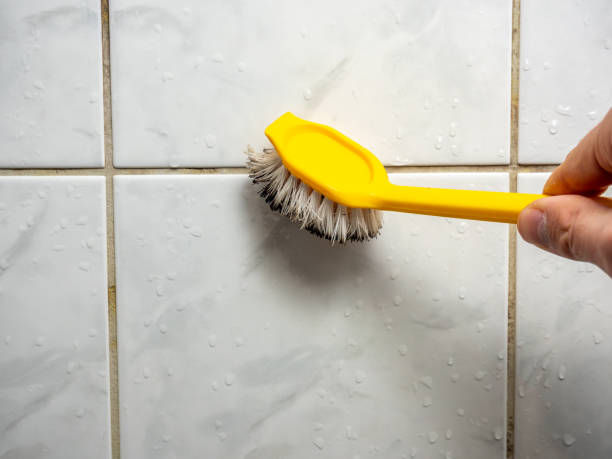 Best Mold Testing and Removal  in Bangor, PA