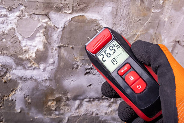 Best Toxic Mold Removal  in Bangor, PA
