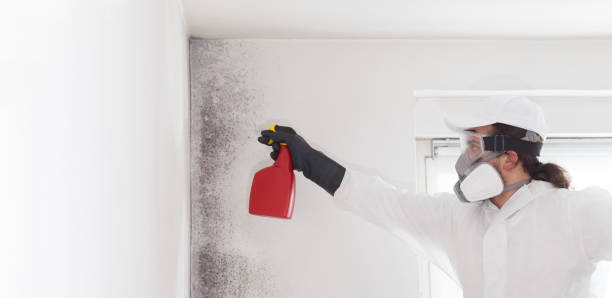 Best Crawl Space Mold Removal  in Bangor, PA