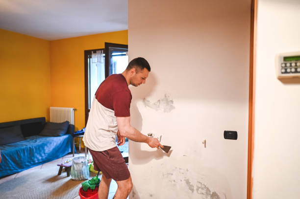 Best Certified Mold Removal  in Bangor, PA